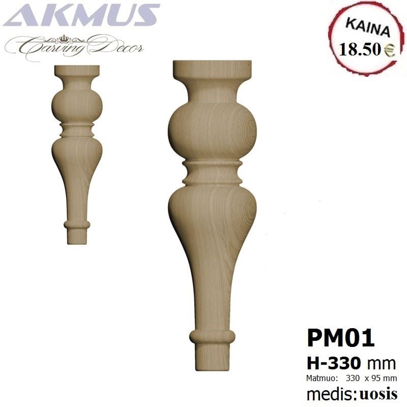 PM01