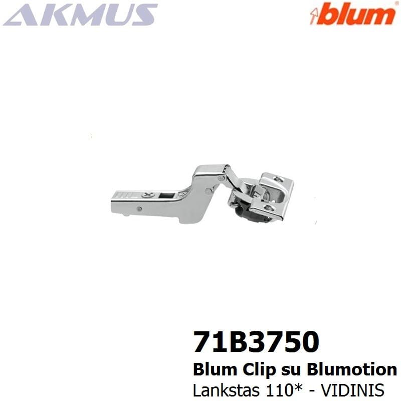 Vidinis-BLUM