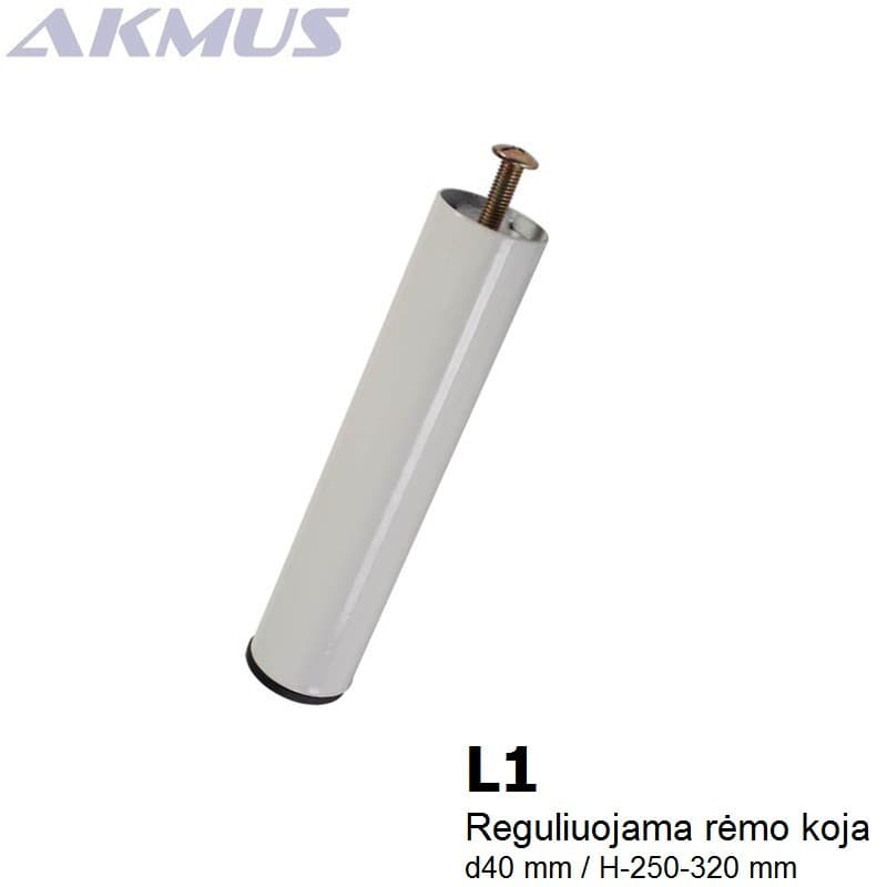 L1